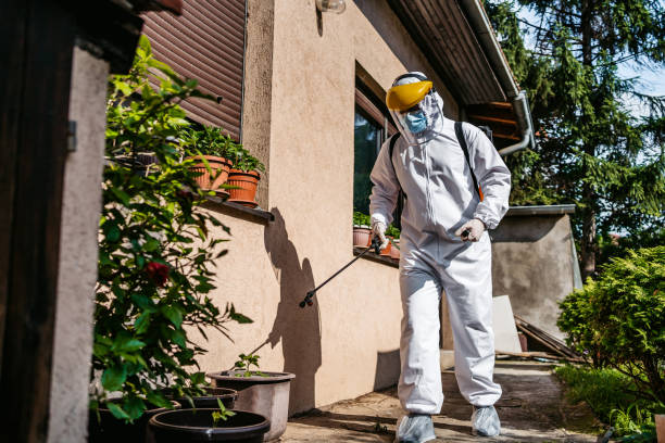 Best Pest Control for Homes  in Washburn, IL