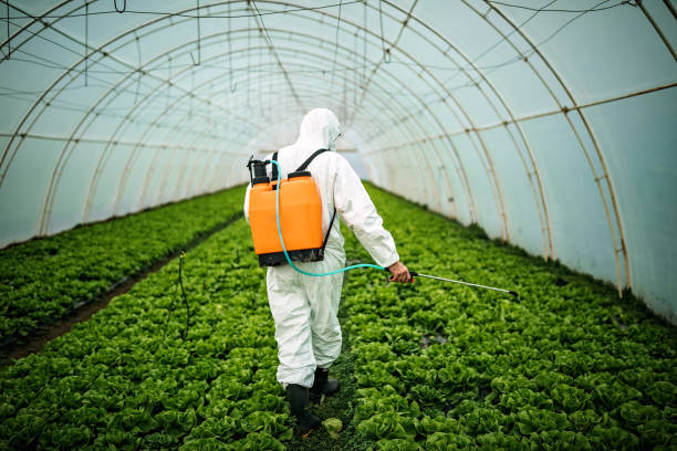 Best Pest Removal Services  in Washburn, IL