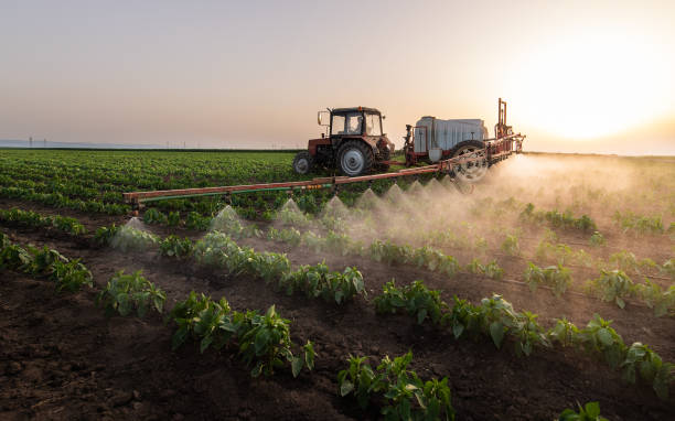 Best Pest Control Near Me  in Washburn, IL