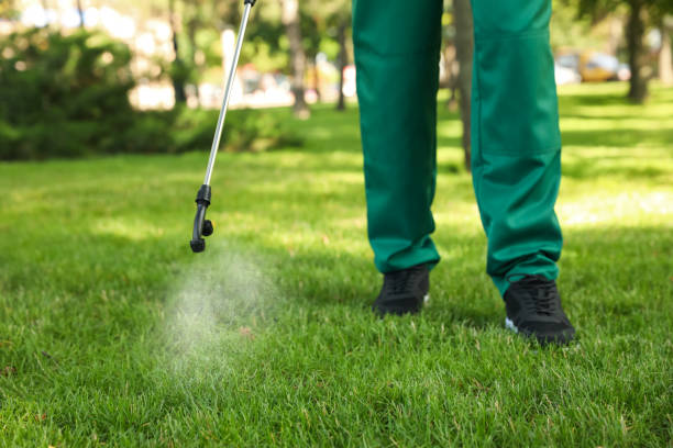 Best Bed Bug Extermination  in Washburn, IL