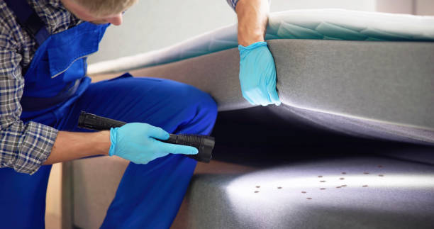 Best Pest Control for Restaurants  in Washburn, IL