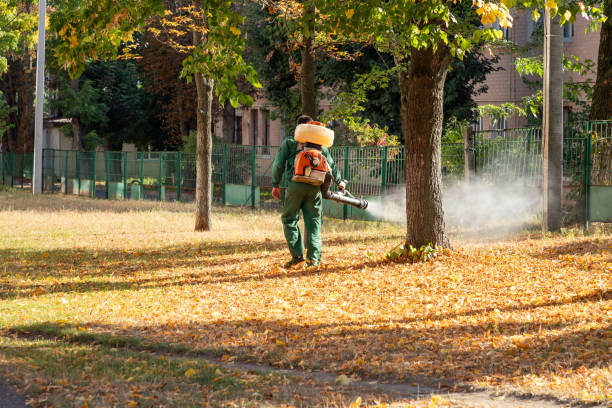 Best Pest Inspection Near Me  in Washburn, IL